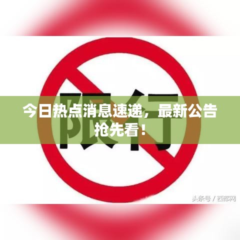 今日热点消息速递,最新公告抢先看!