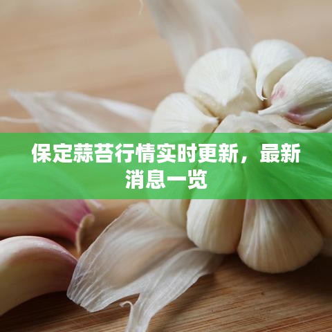 保定蒜苔行情实时更新,最新消息一览