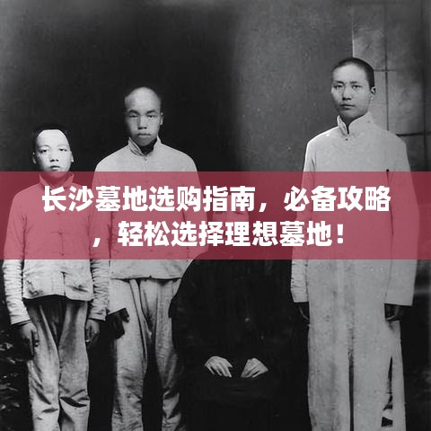 刬旧谋新 第6页