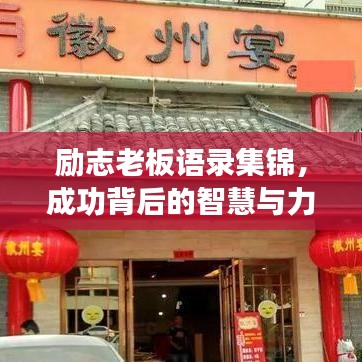 励志老板语录集锦,成功背后的智慧与力量