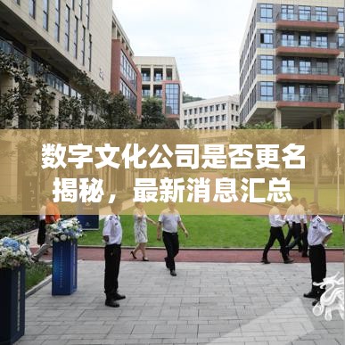 数字文化公司是否更名揭秘，最新消息汇总
