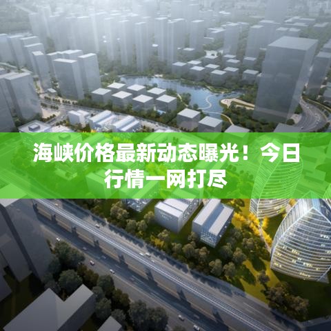 海峡价格最新动态曝光！今日行情一网打尽