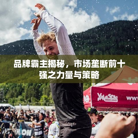 品牌霸主揭秘,市场垄断前十强之力量与策略