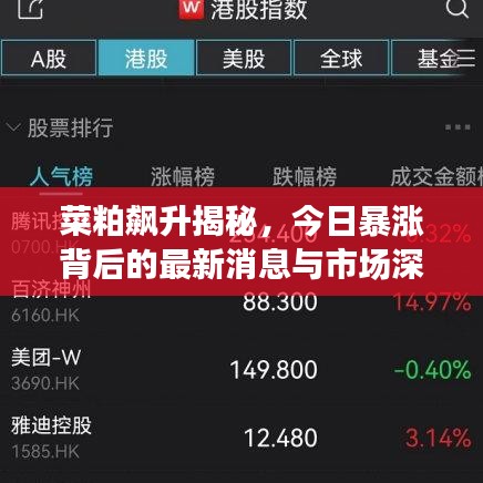 菜粕飙升揭秘,今日暴涨背后的最新消息与市场深度分析