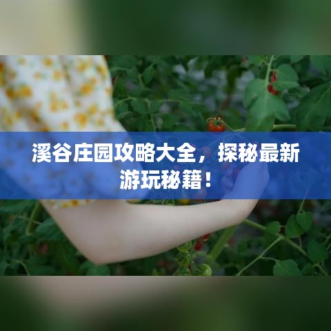 溪谷庄园攻略大全，探秘最新游玩秘籍！