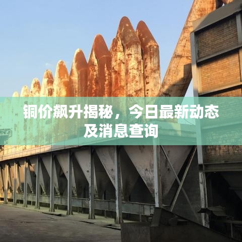 寒蝉僵鸟 第6页