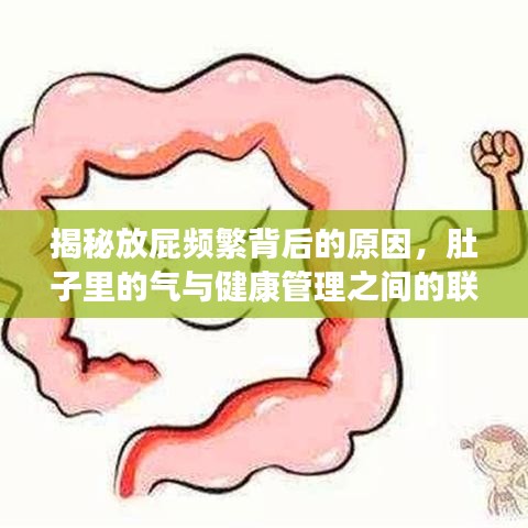 揭秘放屁频繁背后的原因，肚子里的气与健康管理之间的联系