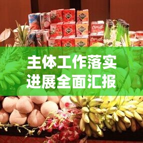 主体工作落实进展全面汇报,实施细节与成效一网打尽!