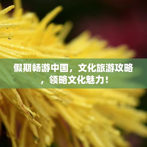 假期畅游中国,文化旅游攻略,领略文化魅力!
