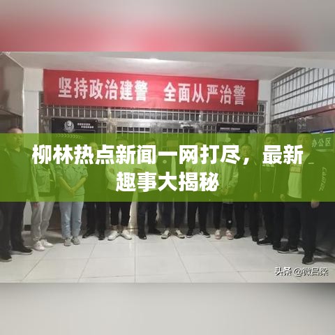 柳林热点新闻一网打尽,最新趣事大揭秘