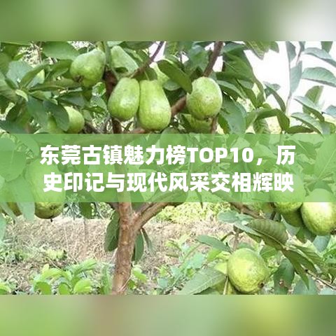 东莞古镇魅力榜TOP10,历史印记与现代风采交相辉映