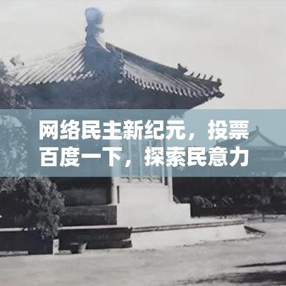 网络民主新纪元,投票百度一下,探索民意力量