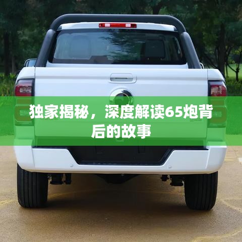 独家揭秘,深度解读65炮背后的故事