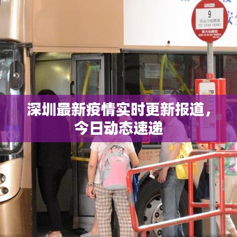 深圳最新疫情实时更新报道,今日动态速递