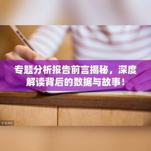 专题分析报告前言揭秘，深度解读背后的数据与故事！