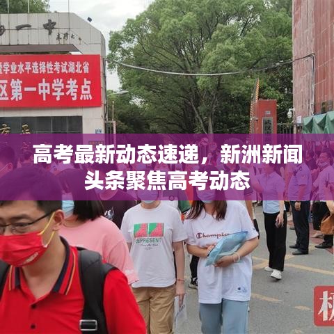 高考最新动态速递,新洲新闻头条聚焦高考动态