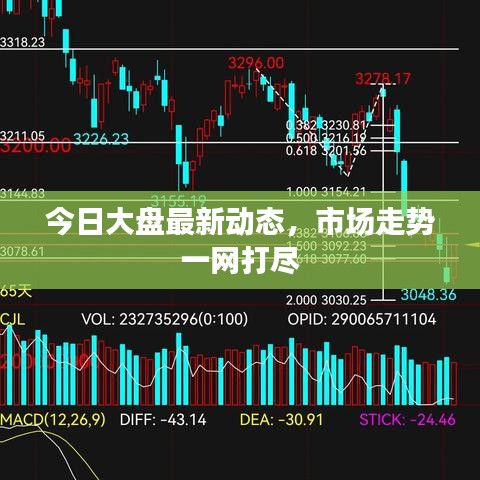 今日大盘最新动态,市场走势一网打尽