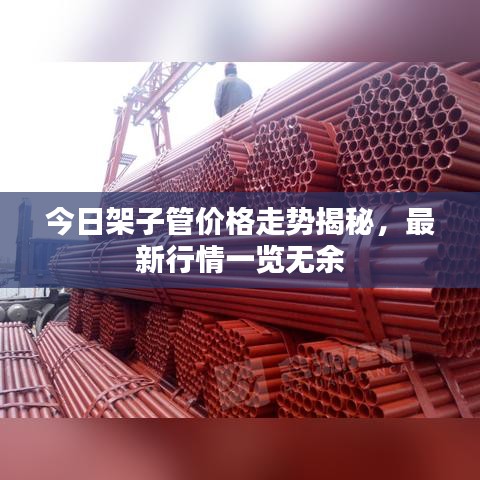 今日架子管价格走势揭秘,最新行情一览无余