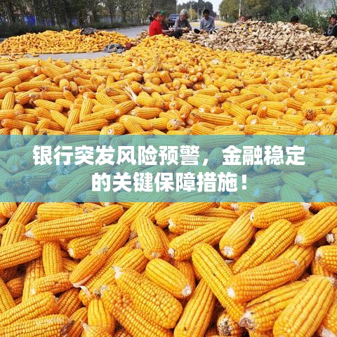 银行突发风险预警,金融稳定的关键保障措施!