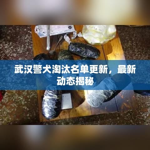 武汉警犬淘汰名单更新，最新动态揭秘