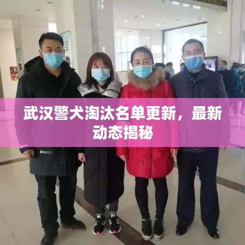 武汉警犬淘汰名单更新,最新动态揭秘