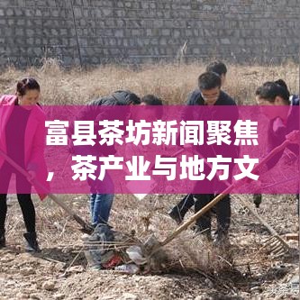 富县茶坊新闻聚焦,茶产业与地方文化融合繁荣发展