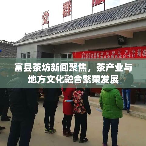 富县茶坊新闻聚焦,茶产业与地方文化融合繁荣发展