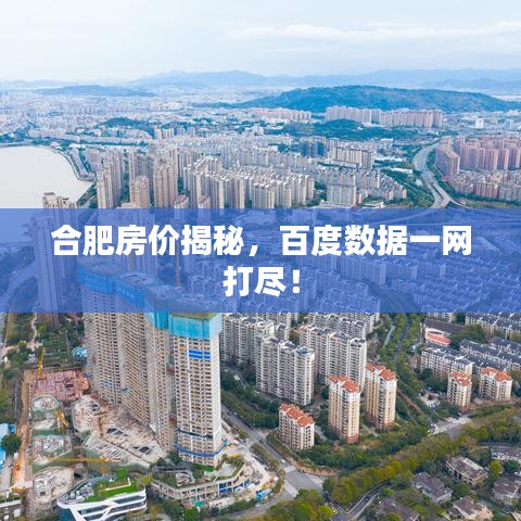 合肥房价揭秘,百度数据一网打尽!