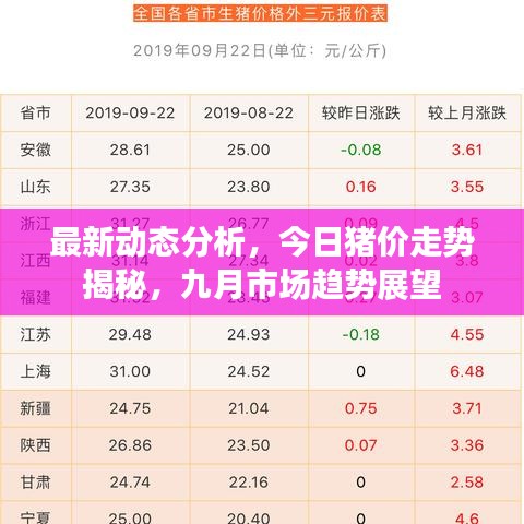最新动态分析，今日猪价走势揭秘，九月市场趋势展望