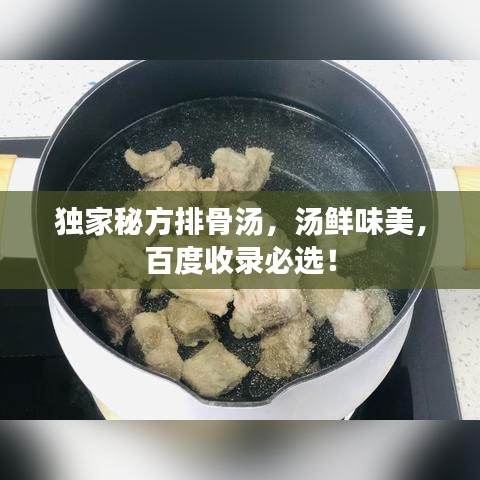 独家秘方排骨汤,汤鲜味美,百度收录必选!