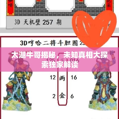 太湖牛哥揭秘,未知真相大探索独家解读