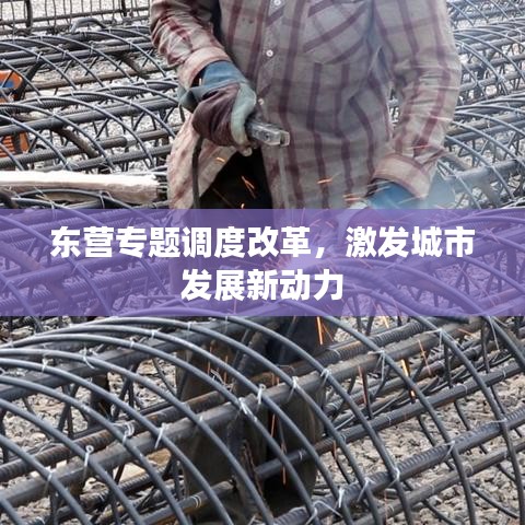 东营专题调度改革,激发城市发展新动力
