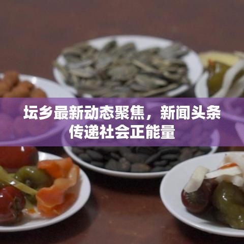 坛乡最新动态聚焦,新闻头条传递社会正能量