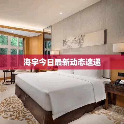 海宇今日最新动态速递