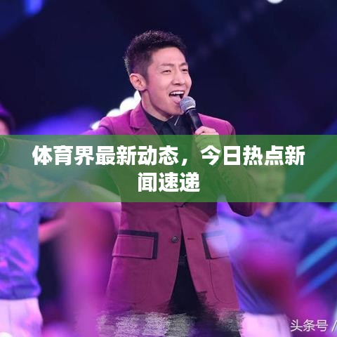 体育界最新动态，今日热点新闻速递