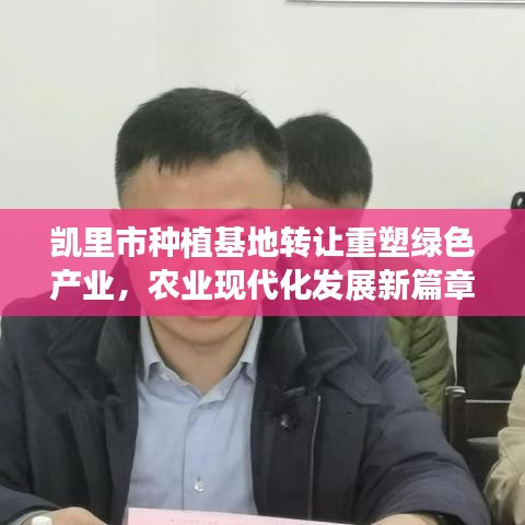 凯里市种植基地转让重塑绿色产业,农业现代化发展新篇章开启