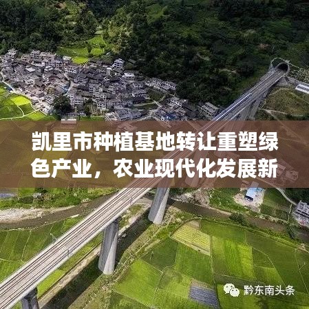 凯里市种植基地转让重塑绿色产业,农业现代化发展新篇章开启