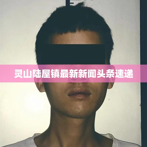 灵山陆屋镇最新新闻头条速递