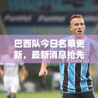 巴西队今日名单更新,最新消息抢先看