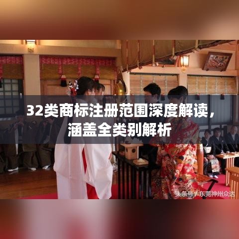 32类商标注册范围深度解读,涵盖全类别解析