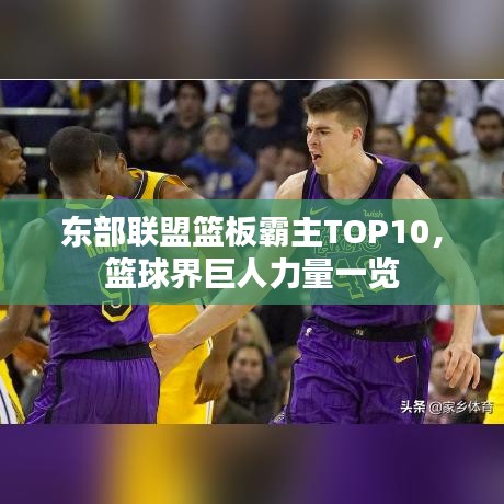 东部联盟篮板霸主TOP10,篮球界巨人力量一览