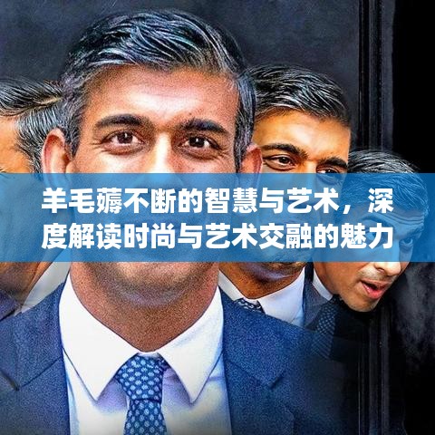 羊毛薅不断的智慧与艺术，深度解读时尚与艺术交融的魅力