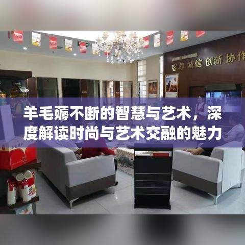 羊毛薅不断的智慧与艺术,深度解读时尚与艺术交融的魅力