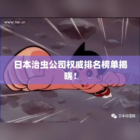 眉清目秀 第5页