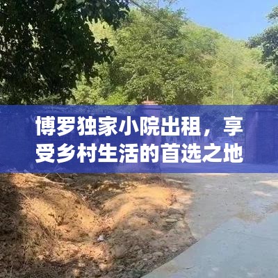 博罗独家小院出租，享受乡村生活的首选之地