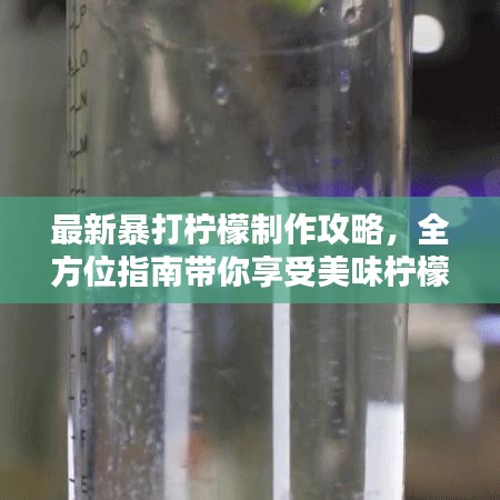 最新暴打柠檬制作攻略,全方位指南带你享受美味柠檬饮品