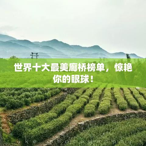 世界十大最美廊桥榜单，惊艳你的眼球！