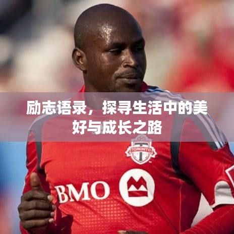 励志语录，探寻生活中的美好与成长之路