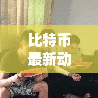 比特币最新动态报告，今日市场深度解析