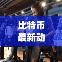 比特币最新动态报告,今日市场深度解析